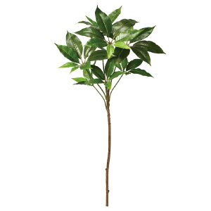  O[ Ƃ悹i cs^TX CeA tFCN O[ p[c CeAt[ tFCNt[ VNt[ A[gt[ AXJ ASCA AXJ