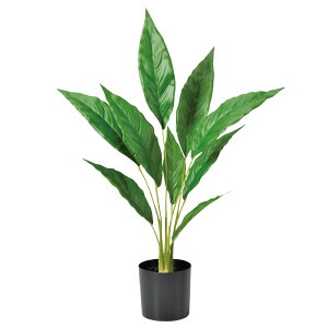 yP10{ 12/31܂ŁIz tFCNO[ ϗtA Ƃ悹i XpeBtB(|bgt)  lHϗt  CeA CeAt[ tFCNt[  t AXJ ASCA AXJ