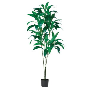 yP10{ z tFCNO[ ϗtA Ƃ悹i y[J[z hZi(|bgt) 180cm ssEiƂ̓st ϗtA 1.8m ^  AXJ ASCA AXJ