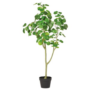 tFCNO[ ϗtA Ƃ悹i y[J[z V[hAA(|bgt) 120cm ssEiƂ̓st ϗtA 1.2m ^ AXJ ASCA AXJ