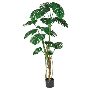 tFCNO[ ϗtA Ƃ悹i y[J[z Xe(|bgt) 180cm ssEiƂ̓st ϗtA 1.8m ^ 썑 AXJ ASCA AXJ