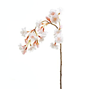 �yP10�{ 12/31�܂ŁI�z ���� �Ƃ�悹�i ����������} �� ������ �T�N�� �t �`�F���[�u���b�T�� �C���e���A �C���e���A�t�����[ �t�F�C�N�t�����[ �V���N�t�����[ �C���e���A�O���[�� �ԍ� ��