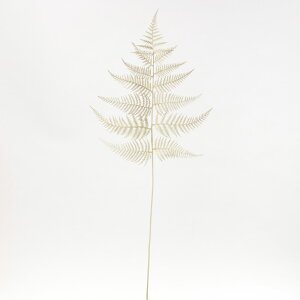 yP10{ 12/31܂ŁIz  O[ Ƃ悹i zCgU[t@[ tFCNO[ CeAO[ [t p[c CeAt[ tFCNt[ VNt[ ԍ 