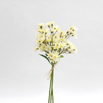 楽天市場】釣鐘草（花・ガーデン・DIY）の通販 