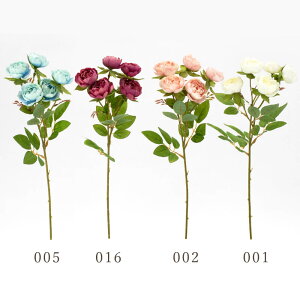 yP10{ 12/31܂ŁIz  Ƃ悹i [YXv[ o ΂ KN CeA CeAt[ tFCNt[ VNt[ CeAO[ tFCNO[ A[gt