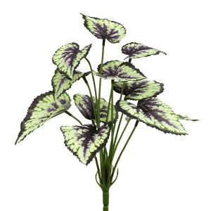  O[ Ƃ悹i xSjA[tubV tFCNO[ CeAO[ [t p[c CeAt[ tFCNt[ VNt[ ԍ Ԏ