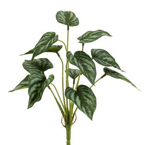 yP10{ 12/31܂ŁIz  O[ Ƃ悹i AJVA[tubV tFCNO[ CeAO[ [t p[c CeAt[ tFCNt[ VNt[ ԍ 