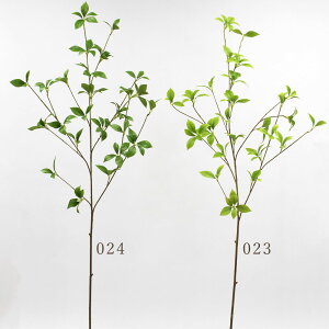 yP10{ 12/31܂ŁIz  O[ Ƃ悹i NW[t tFCNO[ CeAO[ [t p[c CeAt[ tFCNt[ VNt[ A[gt[ 