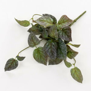  O[ Ƃ悹i yoC tFCNO[ CeAO[ [t p[c CeAt[ tFCNt[ VNt[ A[gt[ ԍ t