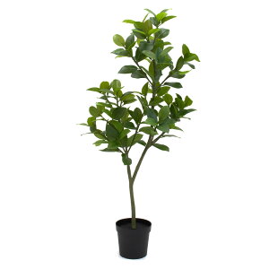 y|Cg3{I30Iz tFCNO[ ϗtA y[J[iz tBJX\tBA|bg(3WAY) 70cm 100cm 150cmssEiƂ̓st ϗtA ϗt tFCNO[