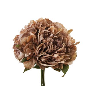 yP10{ z  ԑ Ƃ悹i AeB[NMIXu[P uE AeB[NJ[ ݃J[ Ԋ  CeA CeAt[ tFCNt[ ԍ f roH|