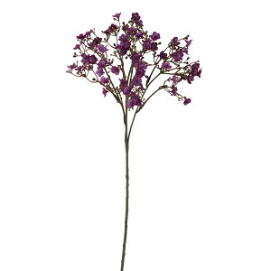 yP10{ 12/31܂ŁIz  Ƃ悹i Wv\tBXv[ p[v ݑ JX~ Wv\tB Mv\tB A[eBtBVt[ CeA CeAt[ ԍ ro