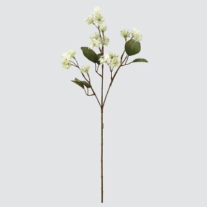 yP10{ z  Ƃ悹i X[Nc[ O[ 䉖 VNN {^ O CeA CeAt[ tFCNt[ VNt[ CeAO[ ԍ roH|