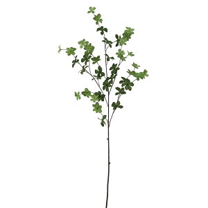 yP10{ 12/31܂ŁIz  O[ Ƃ悹i hE_ccWu` CeA tFCN O[ p[c CeAt[ tFCNt[ VNt[ CeAO[ r