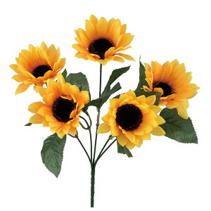 yP10{ 12/31܂ŁIz  Ƃ悹i Tt[ubVx5 q} Ђ܂  ԑ u[P 썑 gsJ CeA CeAt[ tFCNt[ VNt[ r