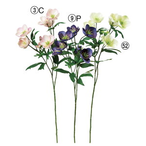 yP10{ 12/31܂ŁIz  Ƃ悹i NX}X[Y×7 ڂ×2 A[eBtBVt[ w{X jQ CeA CeAt[ tFCNt[ AXJ ASCA AXJ