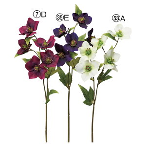 yP10{ 12/31܂ŁIz  Ƃ悹i NX}X[Y×5 A[eBtBVt[ w{X jQ CeA CeAt[ tFCNt[ ԍ Ԏ AXJ ASCA AXJ