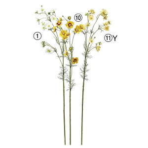 yP10{ z  Ƃ悹i ChRXX×12 ڂ×3 H A[eBtBVt[ CeA CeAt[ tFCNt[ ԍ Ԏ AXJ ASCA AXJ