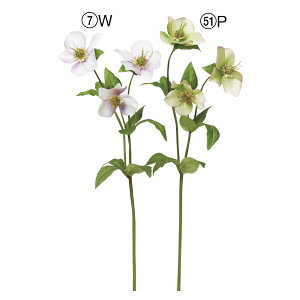 yP10{ 12/31܂ŁIz  Ƃ悹i NX}X[Y×3 A[eBtBVt[ w{X jQ CeA CeAt[ tFCNt[ ԍ Ԏ AXJ ASCA AXJ