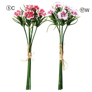 yP10{ }\z  Ƃ悹i ifVRo`(15{) CeA CeAt[ tFCNt[ VNt[ CeAO[ tFCNO[ t AXJ ASCA 