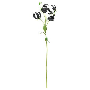 yP10{ 12/31܂ŁIz  Ƃ悹i OIT×4 ڂ×1 A[eBtBVt[ CeA CeAt[ tFCNt[ VNt[ ԍ f AXJ ASCA AXJ