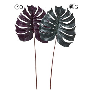  O[ Ƃ悹i Xe ϗt 썑 gsJ 傫 CeA tFCN O[ p[c CeAt[ tFCNt[ t AXJ ASCA AXJ