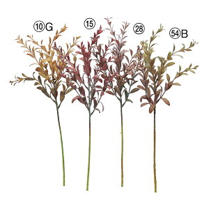 yP10{ 12/31܂ŁIz  O[ Ƃ悹i }[gXv[ CeA tFCN O[ p[c CeAt[ tFCNt[ VNt[ ԍ f AXJ ASCA AXJ