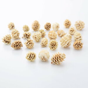 yP10{ z hCt[ ԍ o J ԍ f ޗ p[c fR [X W  hCt[ ؂̎ XbO AW AWg i`  H n_