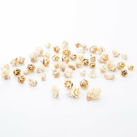 【40％OFF】 ドライフラワー 花材 即日出荷 タマラックコーン 木の実 フルーツ 果実 ナッツ ドライ 自然…