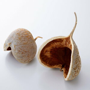 yP10{ z hCt[ ԍ o ub_ibc ԍ f ޗ p[c fR XbO [X AW AWg i` Rf  fBXvC  n_