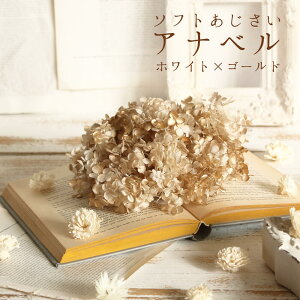 yP10{ z vU[uht[ ԍ o \tgAix hCt[ ԍ f ޗ p[c AWTC  z  zCg F S[h Ԃт ԑ 