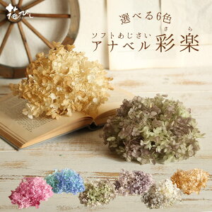 yP10{ z vU[uht[ ԍ o \tgAix ʊy() hCt[ ԍ f ޗ p[c sN  u[ x[W OC O[ p[v 