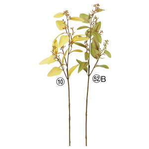 yP10{ 12/31܂ŁIz  O[ Ƃ悹i [JV[hXv[ CeA tFCN O[ p[c CeAt[ tFCNt[ VNt[ ԍ AXJ ASCA AXJ