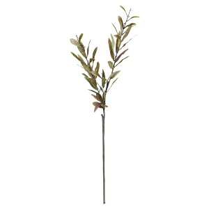 yP10{ 12/31܂ŁIz  O[ Ƃ悹i I[uXv[ CeA tFCN O[ p[c CeAt[ tFCNt[ VNt[ ԍ f AXJ ASCA AXJ