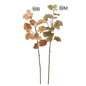  O[ Ƃ悹i [tXv[ CeA tFCN O[ p[c CeAt[ tFCNt[ VNt[ ԍ Ԏ AXJ ASCA AXJ