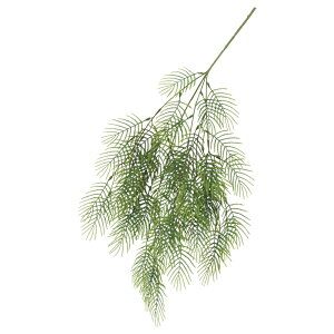  O[ Ƃ悹i [toC CeA tFCN O[ p[c CeAt[ tFCNt[ VNt[ A[gt[ AXJ ASCA AXJ