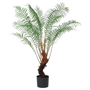 yP10{ z tFCNO[ ϗtA Ƃ悹i y[J[izt@[c[(|bgt) 120cmsρEiƓst ϗtA 1.2m ^  AXJ ASCA AXJ