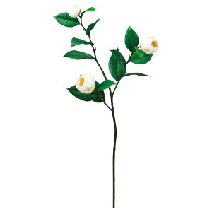 yP10{ z   Ƃ悹i ʒ×2 ڂ×1 a coL JA CeA CeAt[ tFCNt[ VNt[ CeAO[ AXJ ASCA AXJ