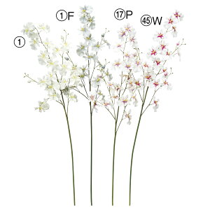 �yP10�{ 12/31�܂ŁI�z ���� �Ƃ�悹�i �I���V�W���[��×19 �ڂ�×3 �C���e���A �C���e���A�t�����[ �t�F�C�N�t�����[ �V���N�t�����[ �C���e���A�O���[�� �ԍ� �Ԏ��� �A�X�J ASCA �A�X�J����