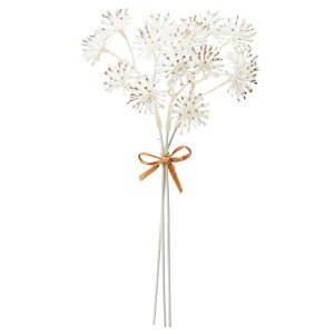  Ƃ悹i AAo`(ubVH)(13{) A[eBtBVt[  CeA CeAt[ tFCNt[ ԍ AXJ ASCA AXJ