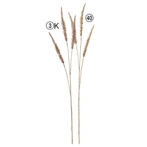 yP10{ 12/31܂ŁIz  O[ Ƃ悹i OXXv[ CeA tFCN O[ p[c CeAt[ tFCNt[ VNt[ ԍ Ԏ AXJ ASCA AXJ