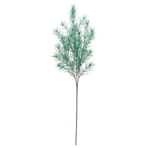 yP10{ z NX}X  O[ Ƃ悹i pCXv[ [t z[[ t  I[ig NX}X NX}X[X CeA G  AXJ ASCA AXJ