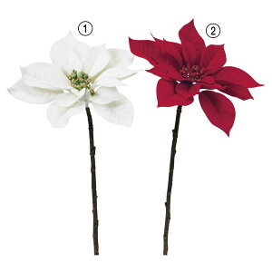 NX}X  Ƃ悹i xxbg|CZ`A |CZ`A  I[ig NX}X ԍ f AW AWޗ CeA G AXJ ASCA AXJ