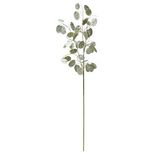 yP10{ z NX}X  O[ Ƃ悹i }l[vg iA CeA tFCN O[ p[c CeAt[ tFCNt[ ԍ t AXJ ASCA AXJ