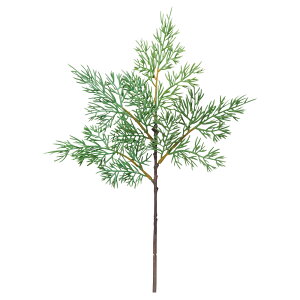 yP10{ z NX}X  O[ Ƃ悹i V[_[sbN [t z[[ t  I[ig NX}X NX}X[X CeA G  AXJ ASCA AXJ