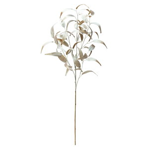 NX}X  O[ Ƃ悹i [J [t z[[ t  I[ig NX}X NX}X[X CeA G p[c  AXJ ASCA AXJ