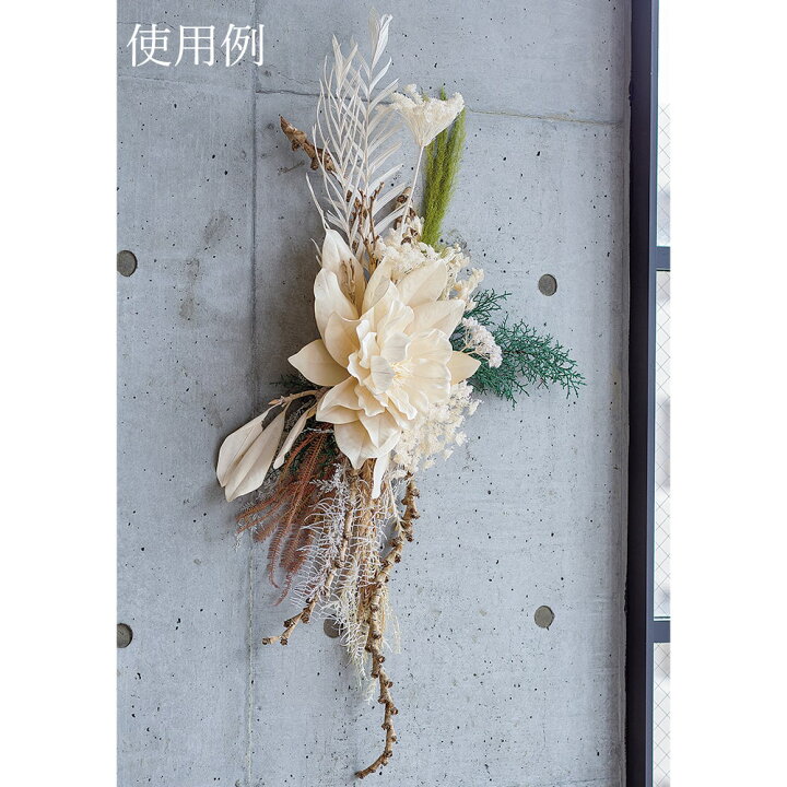 楽天市場】ドライフラワー 花材 即日出荷 オルレア 花材 素材 材料 