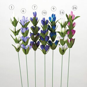   Ƃ悹i hE ǂ _    CeA CeAt[ tFCNt[ VNt[ CeAO[ ԍ AXJ ASCA AXJ