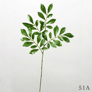   Ƃ悹i  TJL  _Ip    ~ ~ ފ ݉  t[l tFCN ɋ ԍ AXJ ASCA AXJ