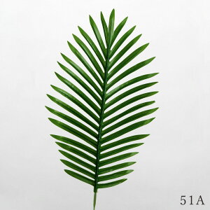   Ƃ悹i p[[t p[ V ₵ q 썑 O[ fBXvC t    ~ ~ ފ ݉  AXJ ASCA AXJ